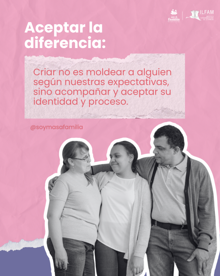 Artículos S+F (3)
