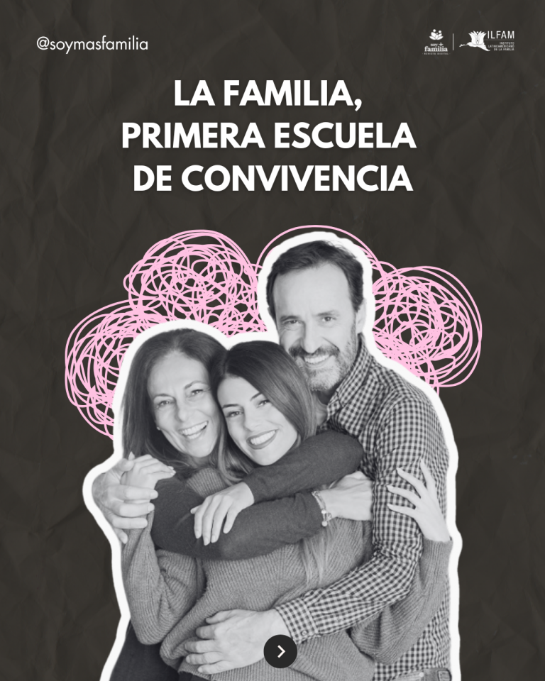 Artículos S+F (13)